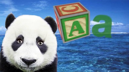 ABC Kids Beach (Panda)