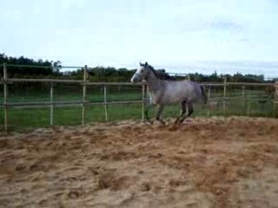 Saut liberté Pagase de Boriel