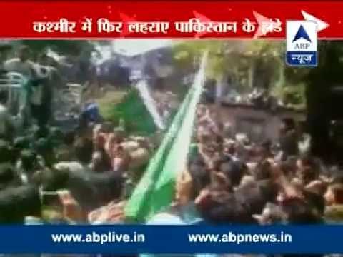 Pakistani flags waved at Geelani rally in J-K