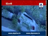 Five injured as tree falls on two cars