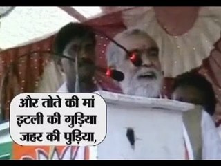 On Rahul Gandhi's 45th birthday: Modi wishes, Ashwini Choubey calls him 'Videshi Tota'