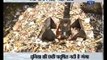 Ganga ki Saugandh: 29 crore ltr sewage water is dumped in Ganga everyday by Kanpur