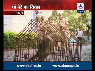 Sansani: A parrot put behind the bars for abusing mother