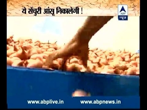 Know why the Onion prices are skyrocketing