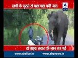 Man vs Wild : Elephant's rage becomes a nightmare for commuters