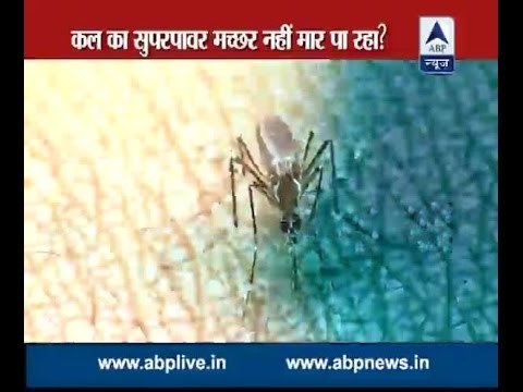 When will India get rid of dengue mosquitoes?