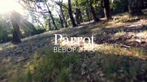 Drone Spots:  The Parrot BeBop