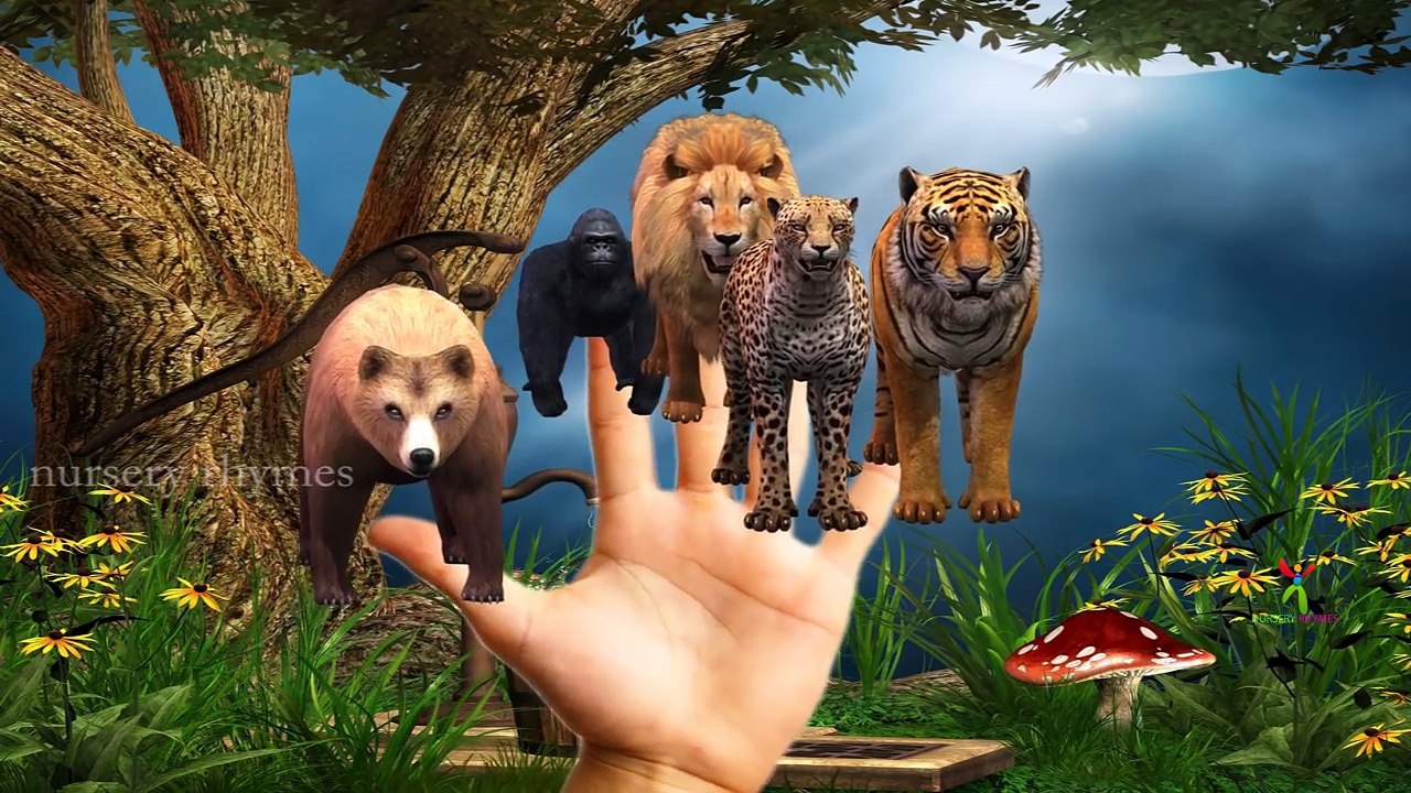 Finger Family || 3D ANIMALS Version || Children Animated 3D Rhymes