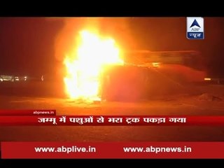 Cattle filled truck overturns on Jammu-Srinagar National Highway