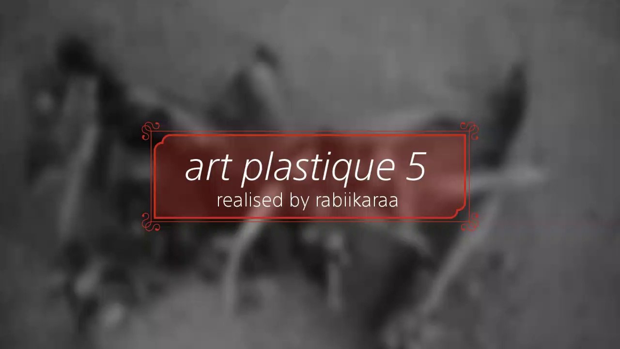 Art Plastique 5
