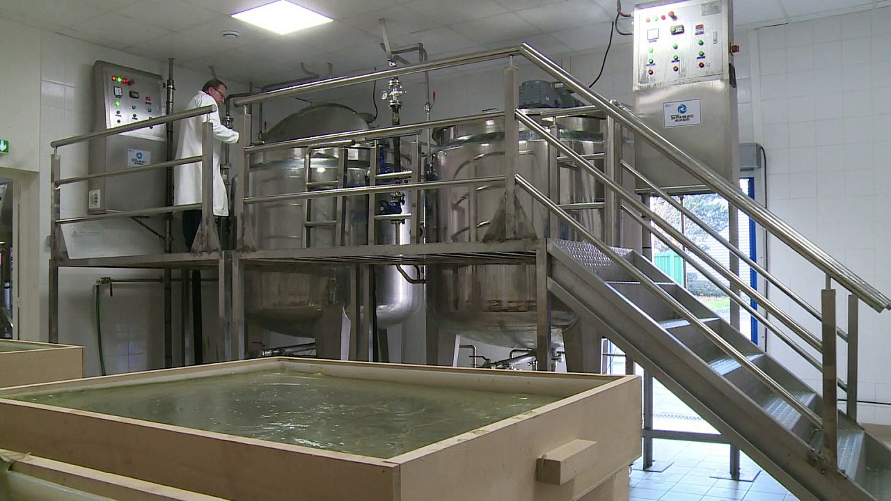 Aleppo soap makes leap from souk to Paris suburb