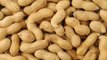 Stay fit in 2 mins: Know the health benefits of peanuts