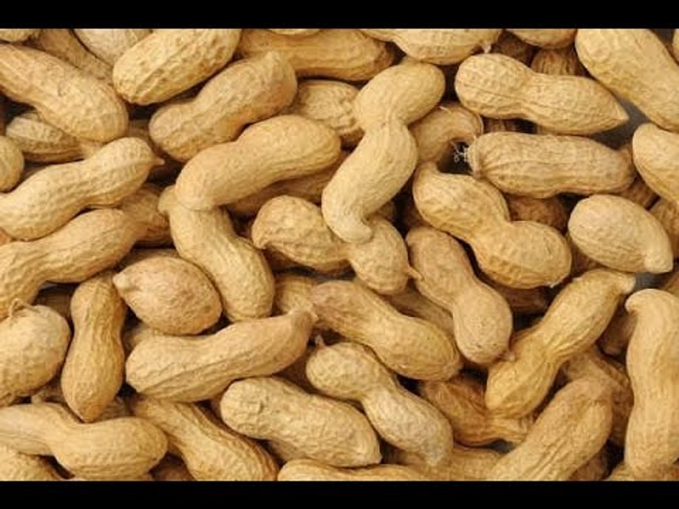 Stay fit in 2 mins: Know the health benefits of peanuts