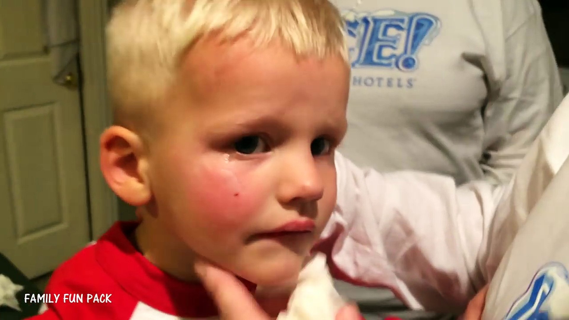 Dog Bite Attack Video Dailymotion