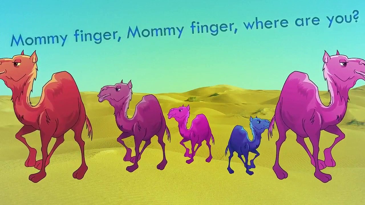 Nursery Rhymes Camel Finger Family Song Daddy Finger
