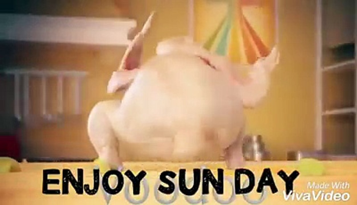 Funny Chicken Dance video