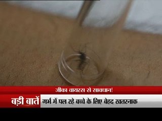 Know all about the deadly zika virus which has killed 50 people in Brazil