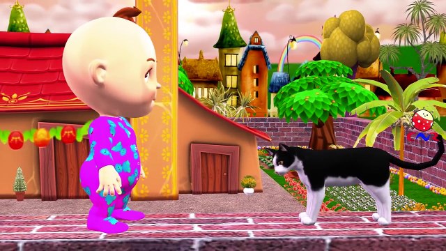 Little Baby Boy Funny Cats Compilation Finger Family | Five Little Babies Collection Nursery Rhymes