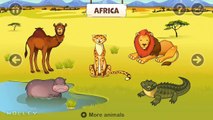 Kids Play & Learn Animal Names with Sounds - Zoo Playground Animated Animals for Kids by Black Fox