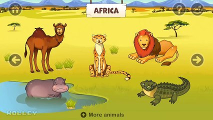 Kids Play & Learn Animal Names with Sounds - Zoo Playground Animated Animals for Kids by Black Fox