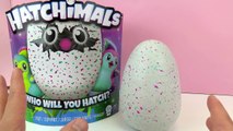 HATCHIMALS Magisches Ei schlüpft! Hatchimal Vöglein ist krank und will spielen!