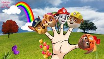 PAW PATROL Academy Finger Finger Family Nursery Rhyme | Daddy Finger | My Kids Songs Toys