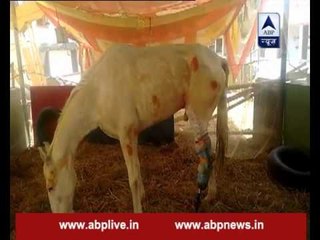 Here is the last video of Shaktimaan before death