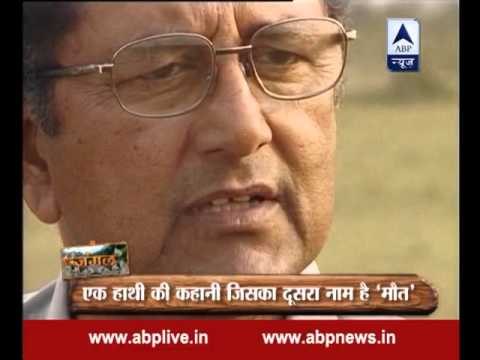 Jungle: Story of an elephant who is also known as 'Death'