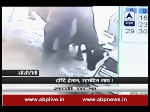 Sachi Ghatna: CCTV captures how cow tries to save a girl from attacker
