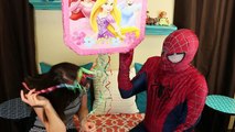 Disney Princess Pinata Surprise Toys, Surprise Eggs, Barbie, Cinderella, Frozen Anna & Blind Bags
