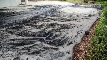 Van explodes outside Australian Christian Lobby office