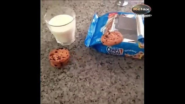 Funny videos Relax-haha-17