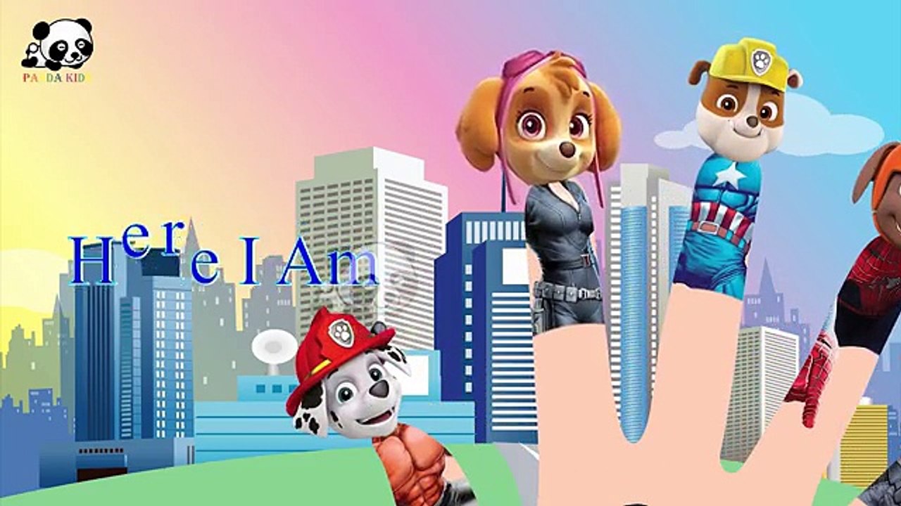 #Paw Patrol #Avengers #Thor #Hulk #Captain America #Spiderman #Finger Family Songs Panda Kids