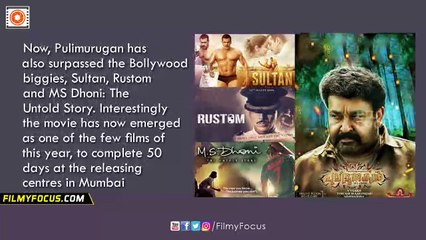 Pulimurugan Malayalam Movie Surpasses Sultan, Rustom & MS Dhoni - Filmyfocus.com