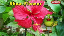 Shoe Flower Rhyme | 3D Nursery Rhymes With Lyrics For Kids | Flower Rhymes | 3D Rhymes Animation