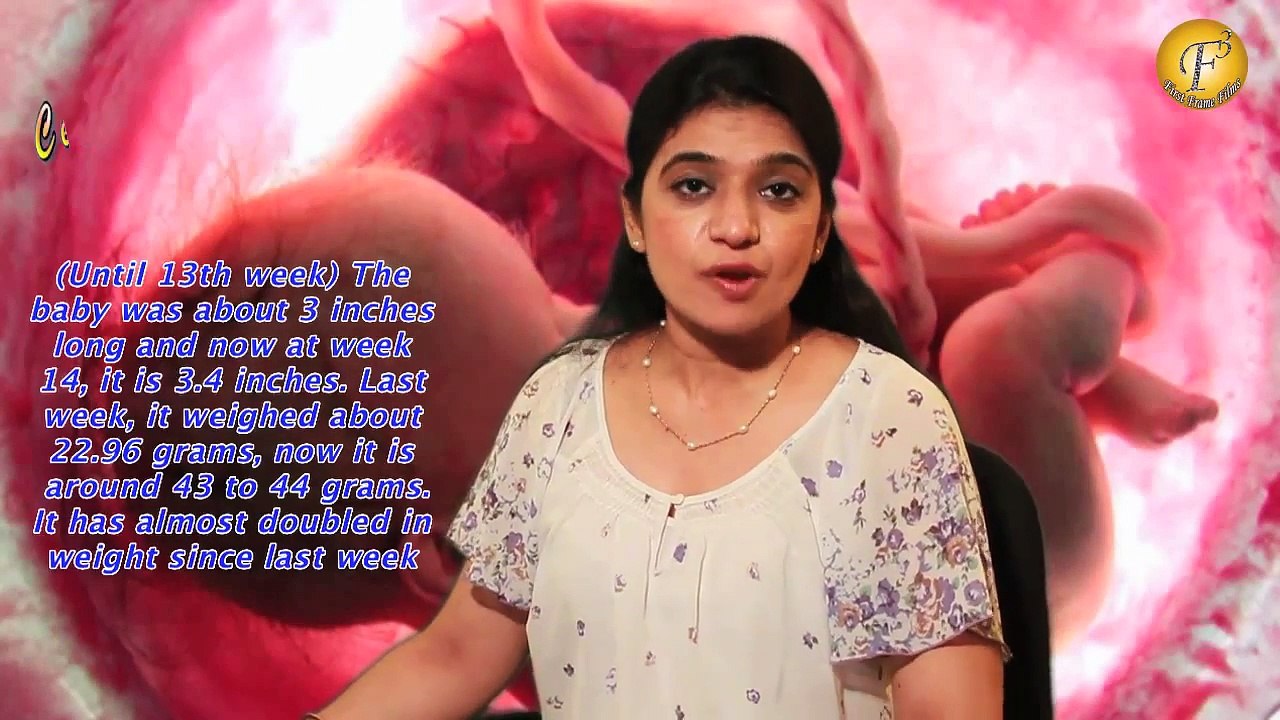 PREGNANCY INFORMATION WEEK 14 II गर्भावस्था का 14वां हफ्ता और ढेरो खुशियाँ II