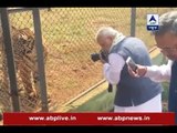 Watch PM Narendra Modi click pictures of tiger in Chattisgarh after inauguration of Jungle