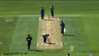 Most runs scored in T20 match in New Zealand
