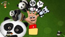 Panda Finger Family Rhymes | Panda Song For Kids | Nursery Rhymes For Childrens | Kids Songs