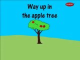 Where Up In The Apple Tree ,English Nursery Rhymes| Nursery Rhymes & Kids Songs | Kids Education| animated nursery rhyme for children| Full HD