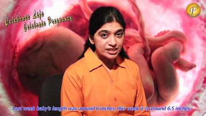 PREGNANCY INFORMATION WEEK 20 II गर्भावस्था का 20वां हफ्ता और ढेरो खुशियाँ II