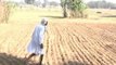 Ground Report: Violating Govt order, no seeds for Haryana farmers with old notes