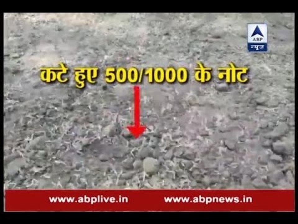 Old Rs 500/1000 notes snipped off and thrown on...