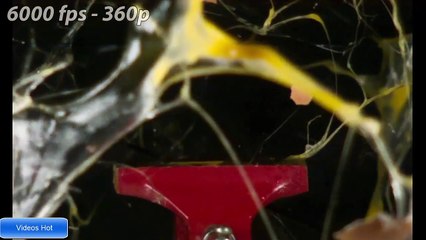 Top 10 Thí Nghiệm Được Quay Chậm Siêu Đẹp