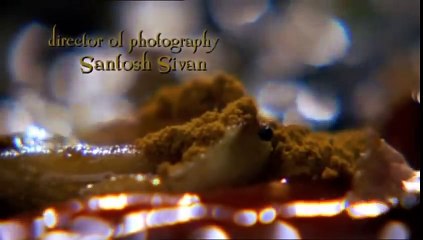 Aishwarya Rai hot and sexy