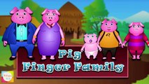 Finger Family Collection - 7 Animal Finger Family Songs - Daddy Finger Nursery Rhymes