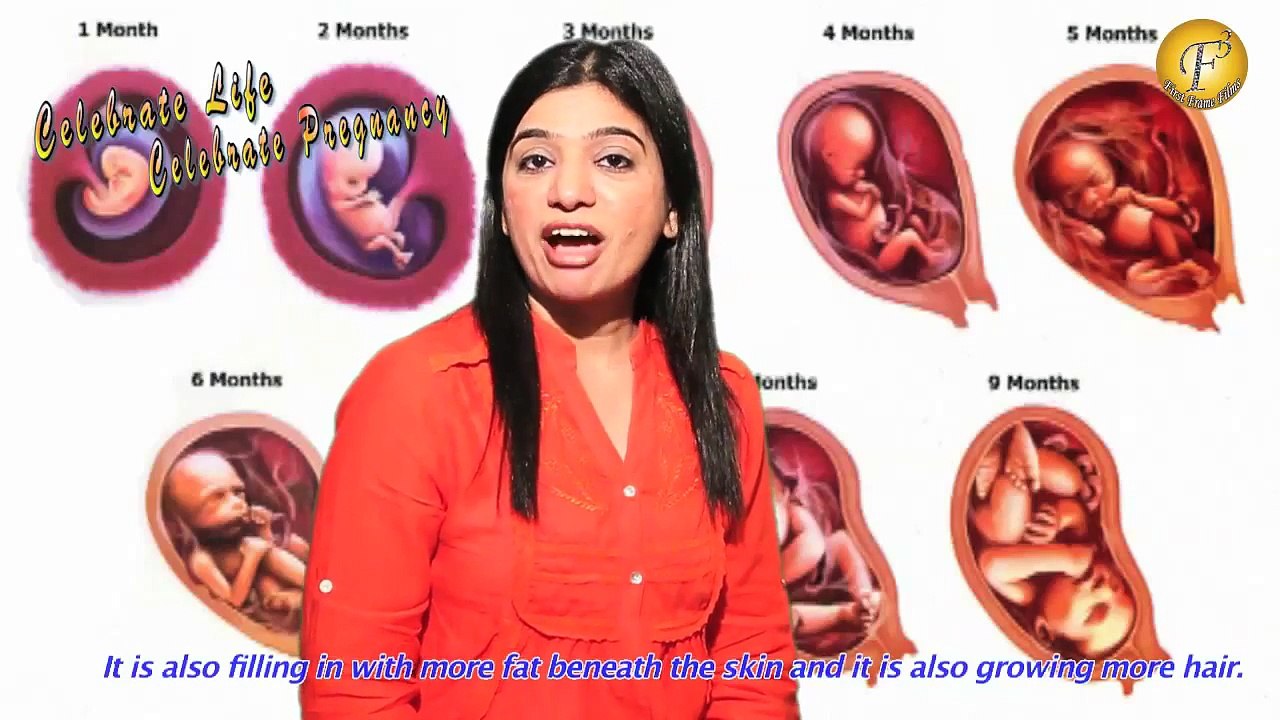 PREGNANCY INFORMATION WEEK 25 II गर्भावस्था का 25वां हफ्ता और ढेरो खुशियाँ II