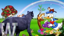 Animals Cartoons ABC Songs For Kids Lion ABC Alphabets Songs ABC Nursery Rhymes for Children