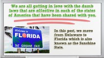 10 Dumb Laws in Florida that are Nothing but Plain Stupid