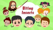 Funny Classroom Joke - Biting Insects